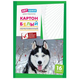 Картон белый А4 16л. Спейс Нкн16б 6962 немелованный